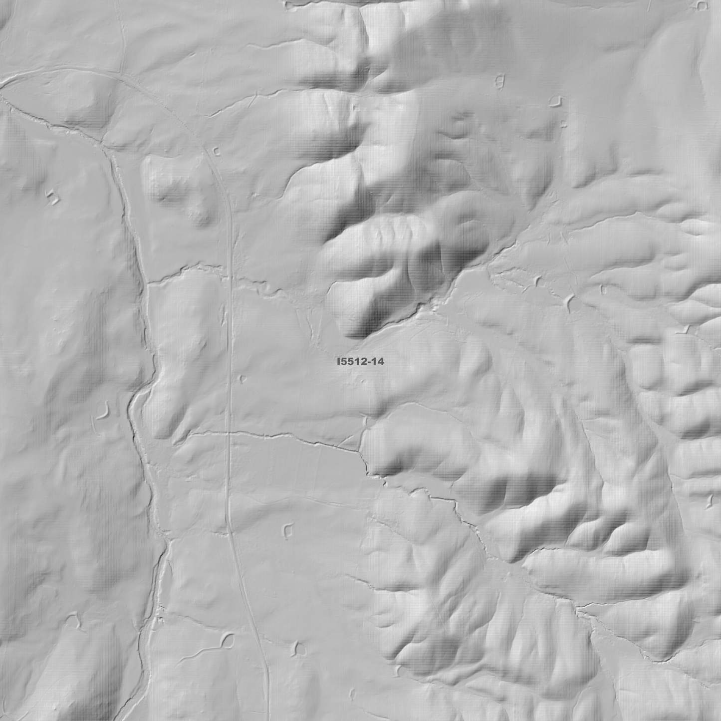 Tangmangaroo 1m & 5m Digital Elevation Models (I5512-14)