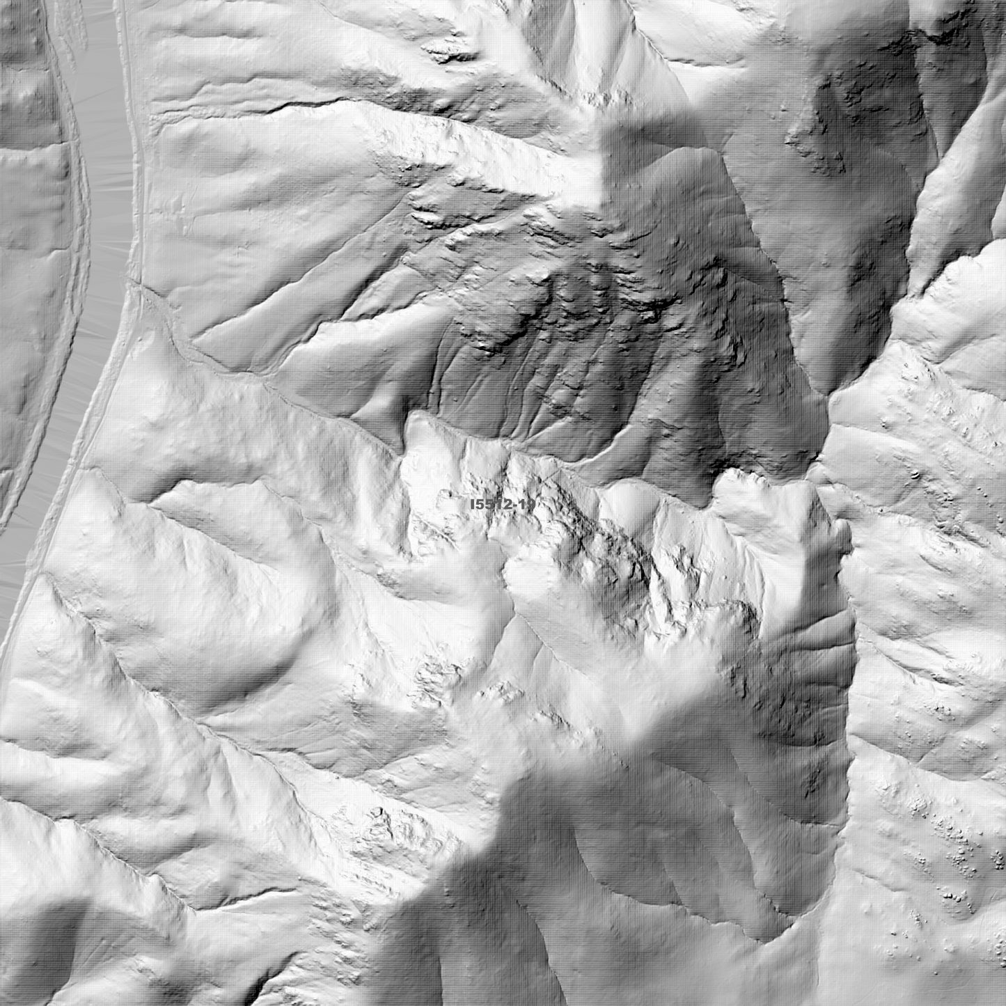 Bookham 1m & 5m Digital Elevation Models (I5512-19)