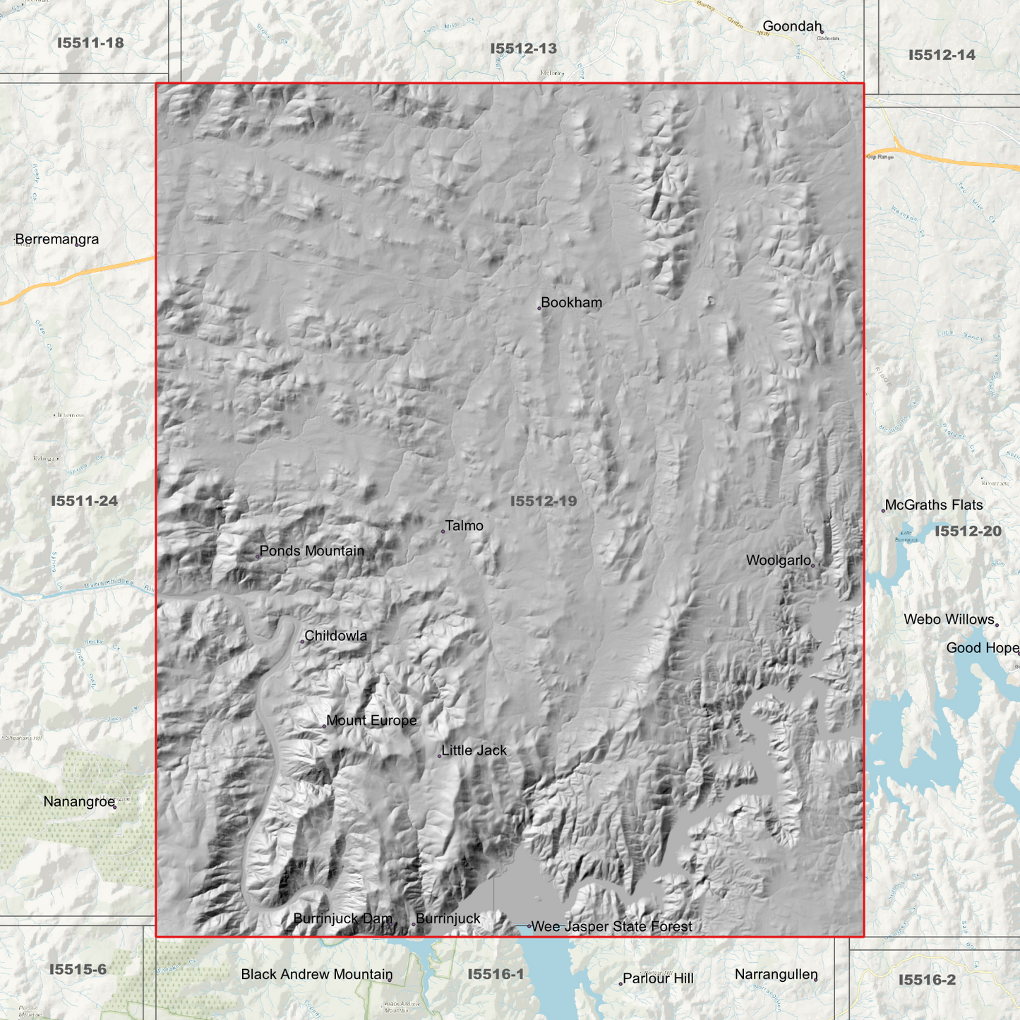 Bookham 1m & 5m Digital Elevation Models (I5512-19)