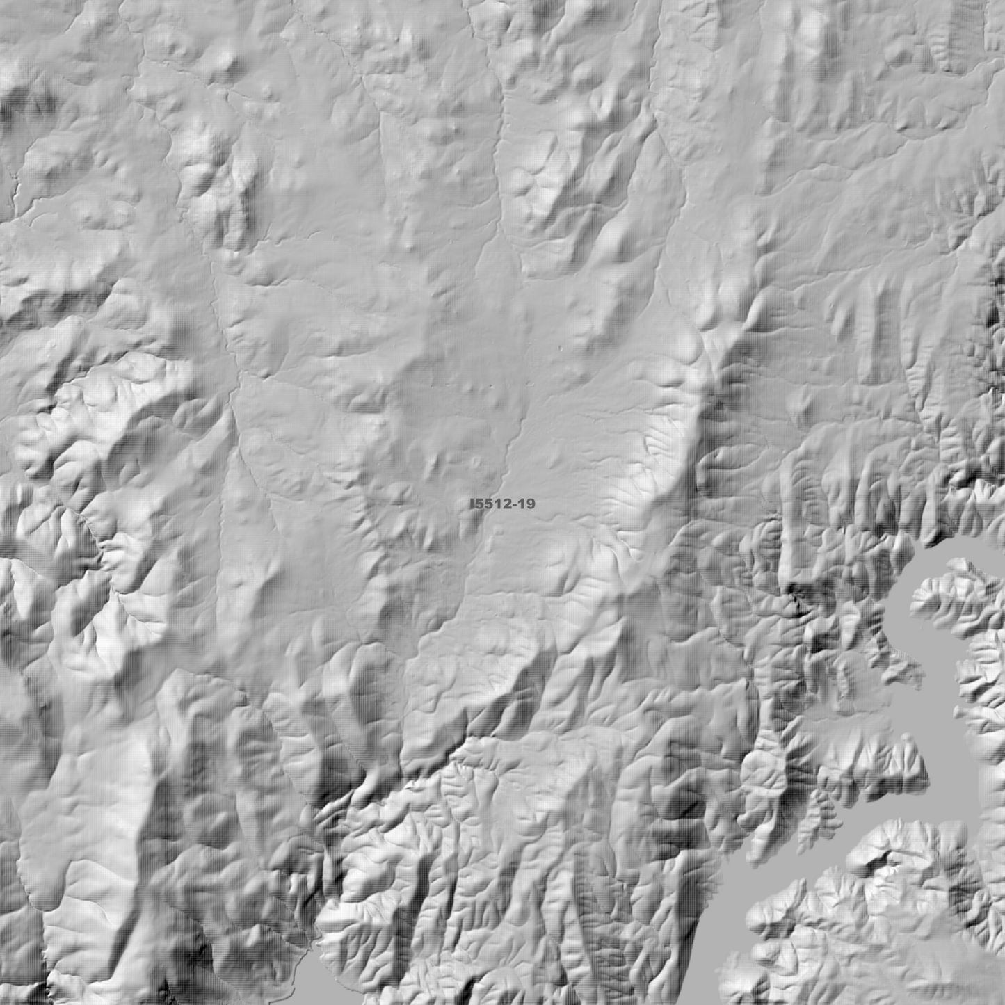 Bookham 1m & 5m Digital Elevation Models (I5512-19)