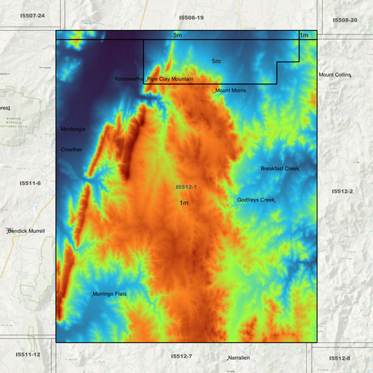Koorawatha 1m & 5m Digital Elevation Models (I5512-1)