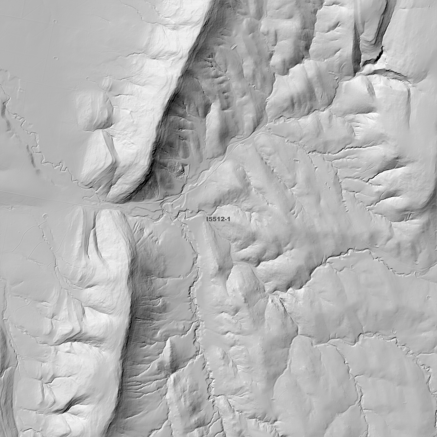 Koorawatha 1m & 5m Digital Elevation Models (I5512-1)