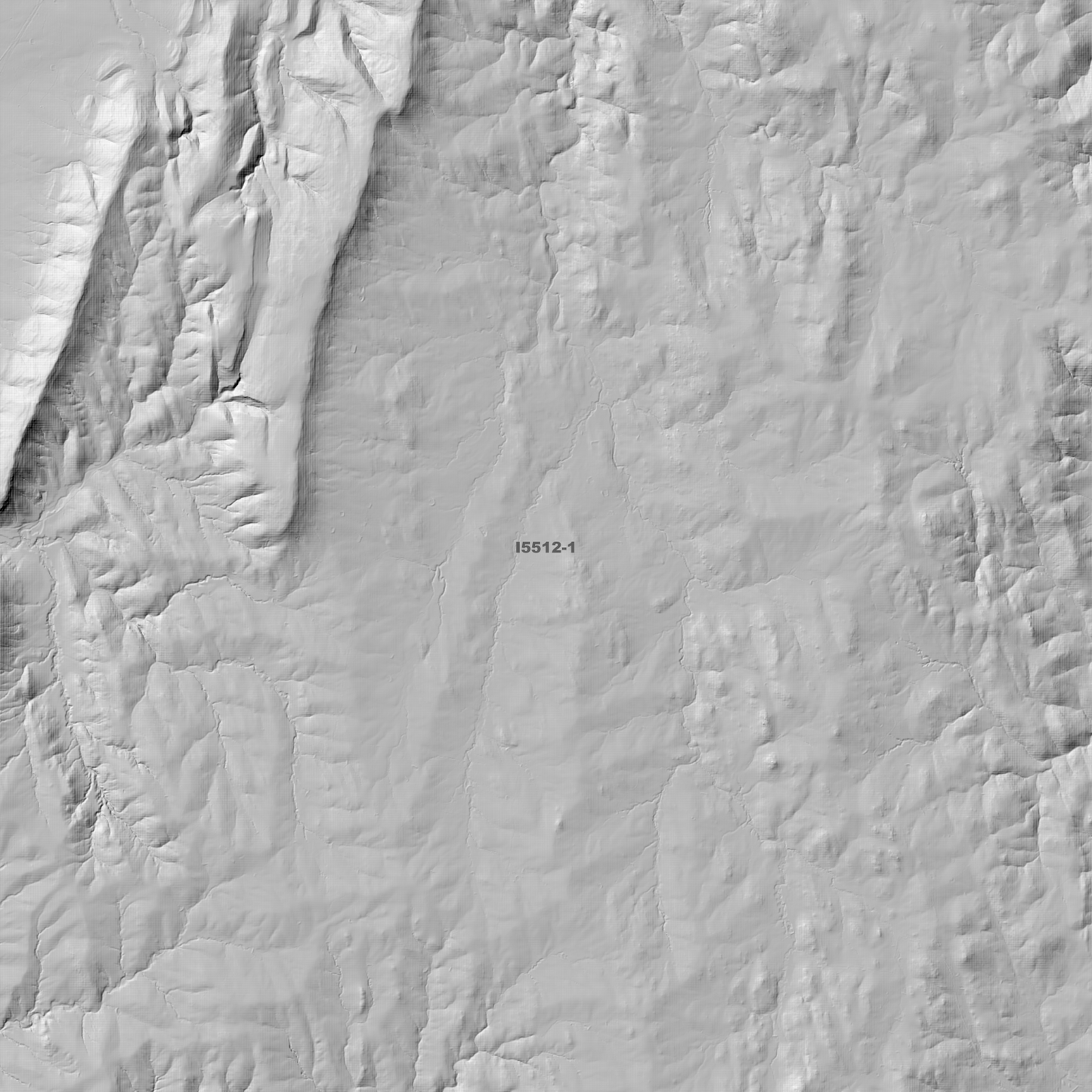 Koorawatha 1m & 5m Digital Elevation Models (I5512-1)