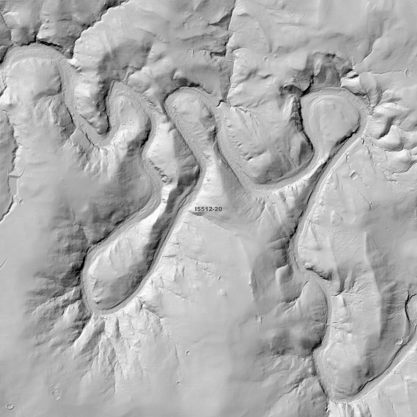 Yass 1m & 5m Digital Elevation Models (I5512-20)