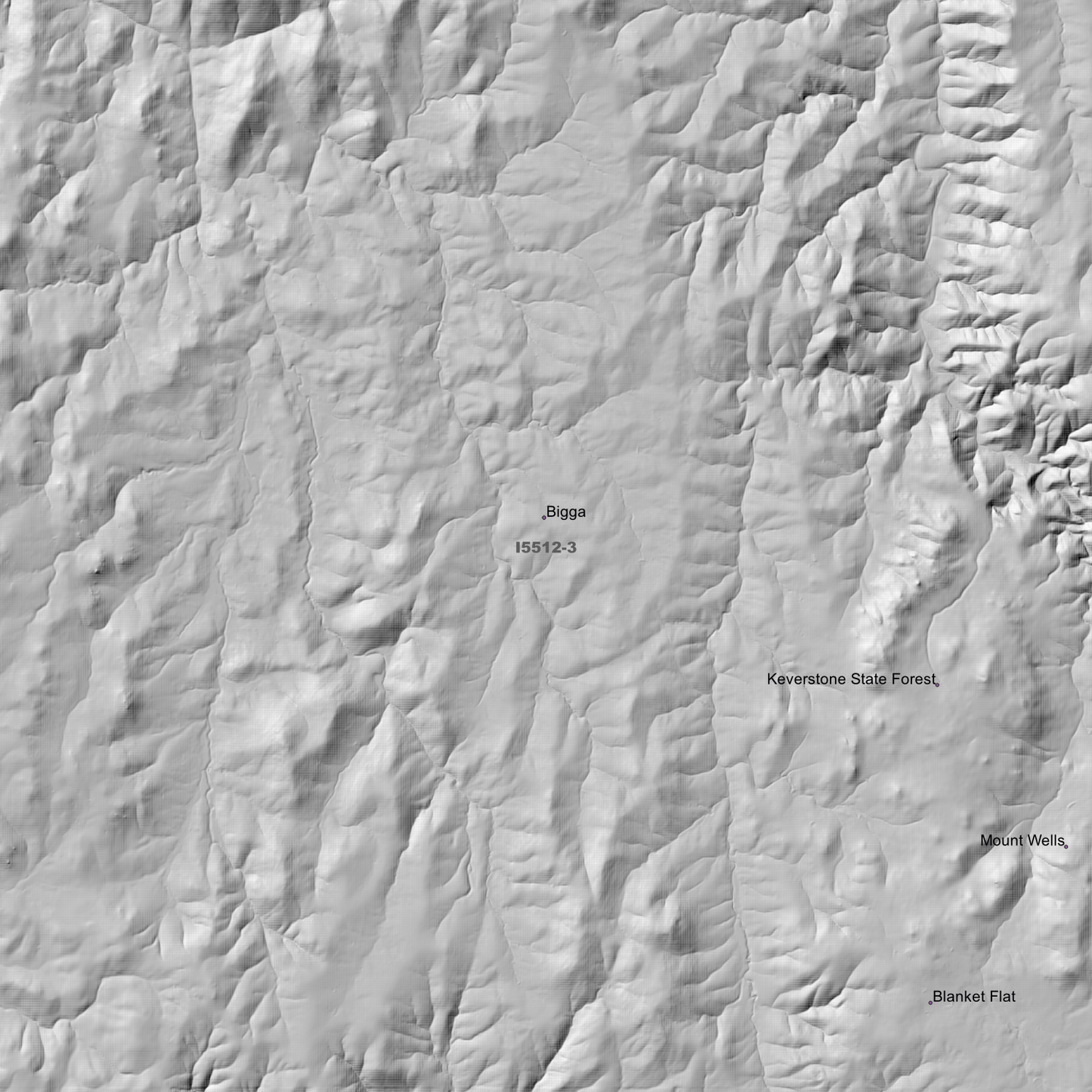 Bigga 1m & 5m Digital Elevation Models (I5512-3)