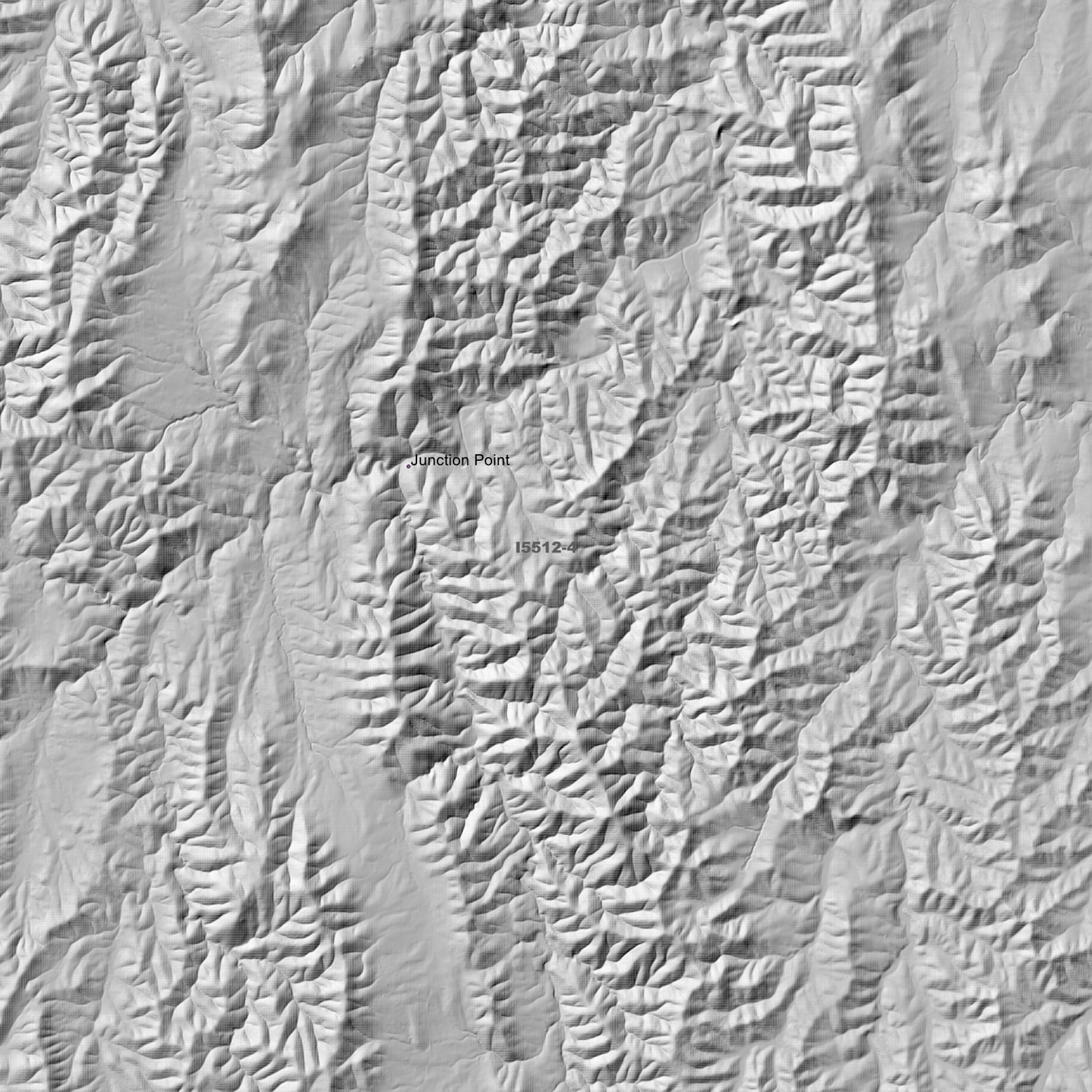 Tuena 2m & 5m Digital Elevation Models (I5512-4)