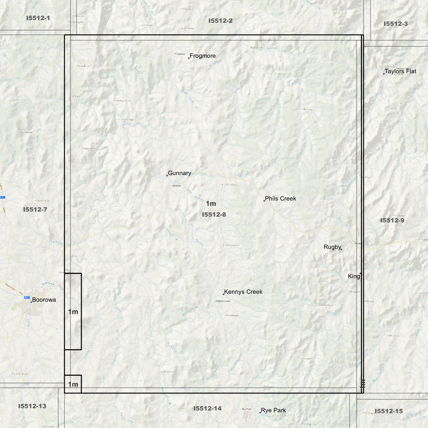 Rugby 1m Digital Elevation Models (I5512-8)