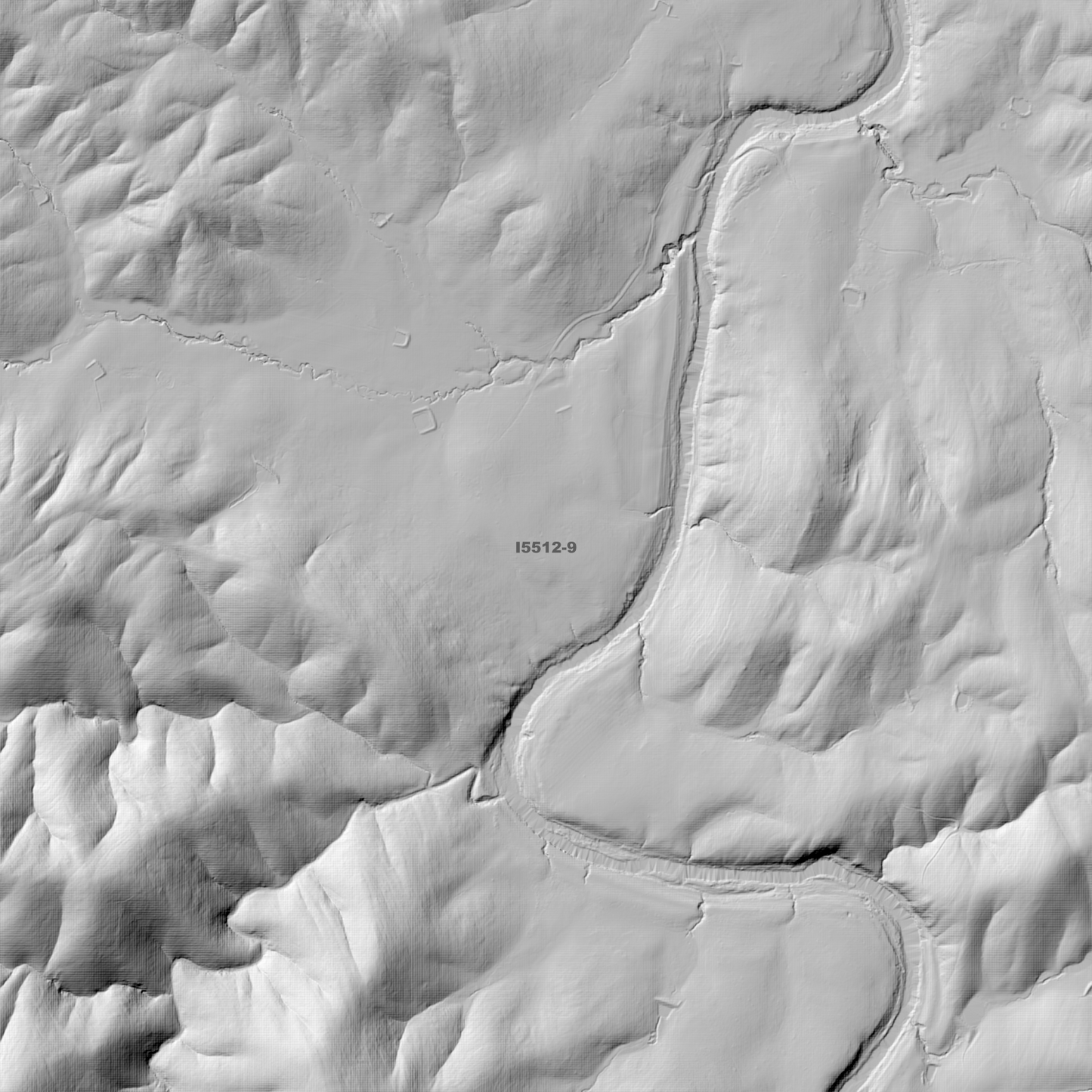 Narrawa 1m & 5m Digital Elevation Models (I5512-9)