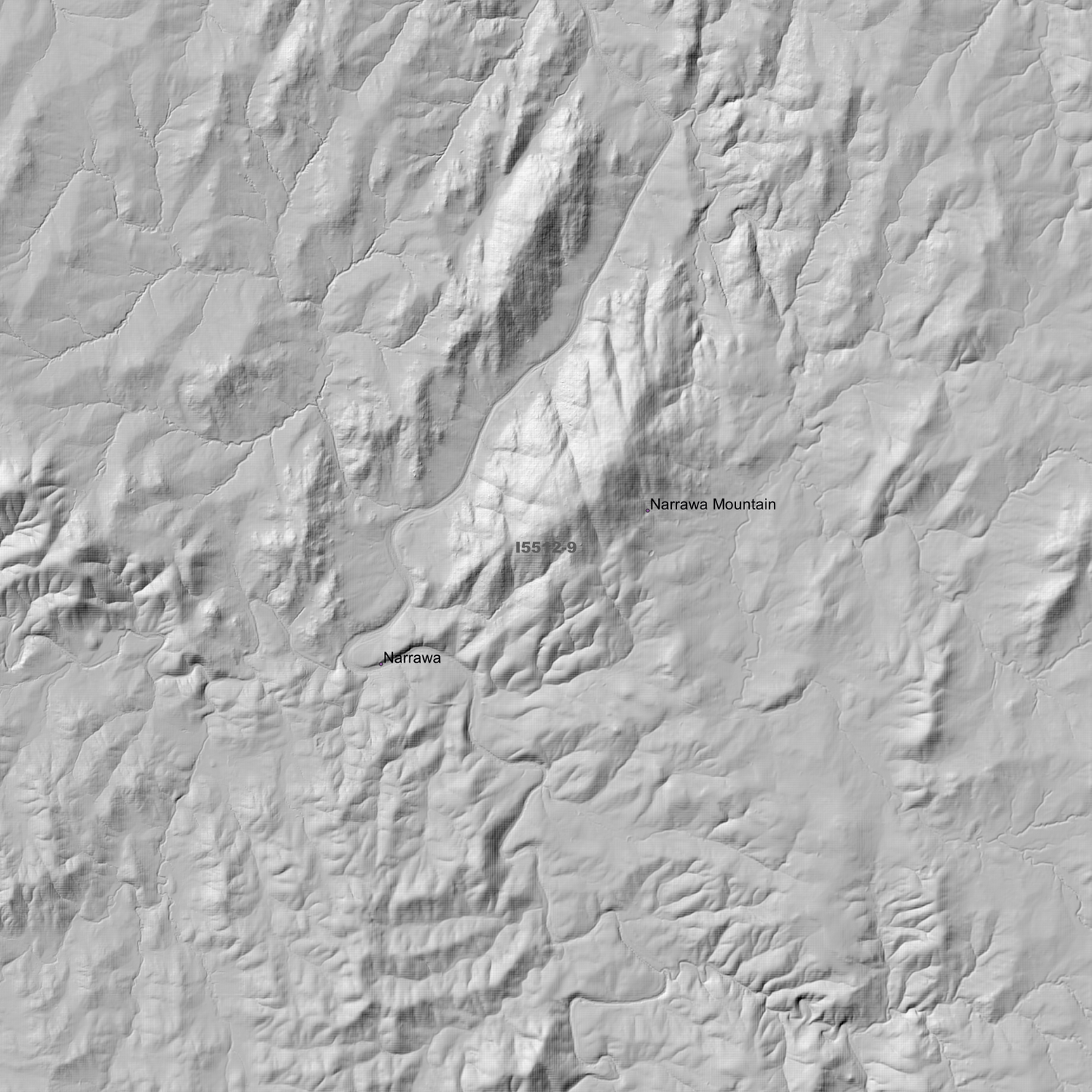 Narrawa 1m & 5m Digital Elevation Models (I5512-9)