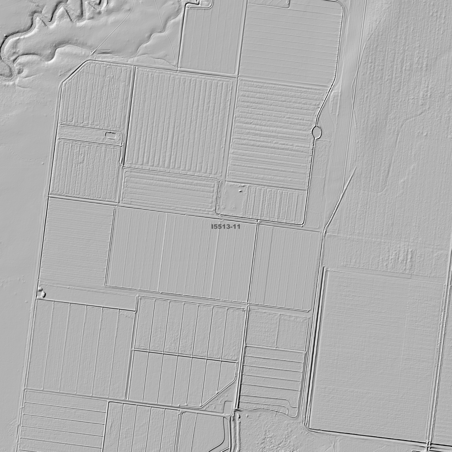 Conargo 1m & 2m Digital Elevation Models (I5513-11)