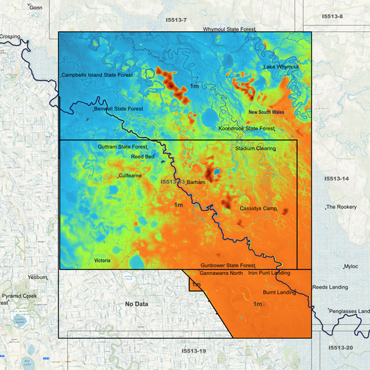 Barham 1m Digital Elevation Models (I5513-13)