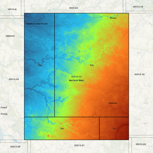 Caldwell 1m Digital Elevation Models (I5513-15)