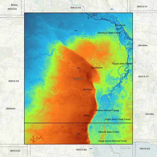 Deniliquin 1m Digital Elevation Models (I5513-16)