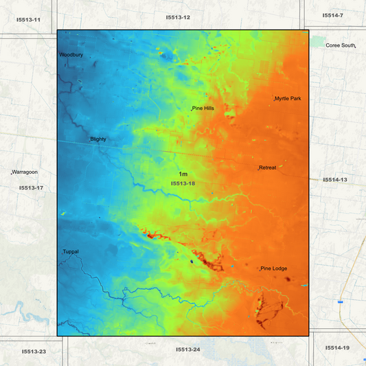 Blighty 1m Digital Elevation Models (I5513-18)
