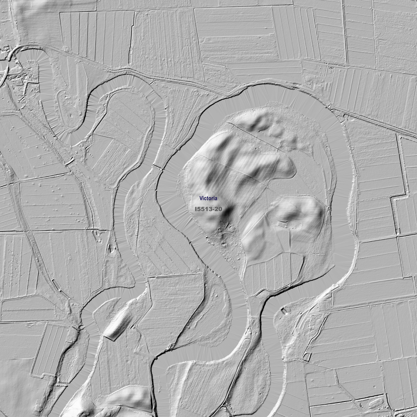 Gunbower 1m Digital Elevation Models (I5513-20)
