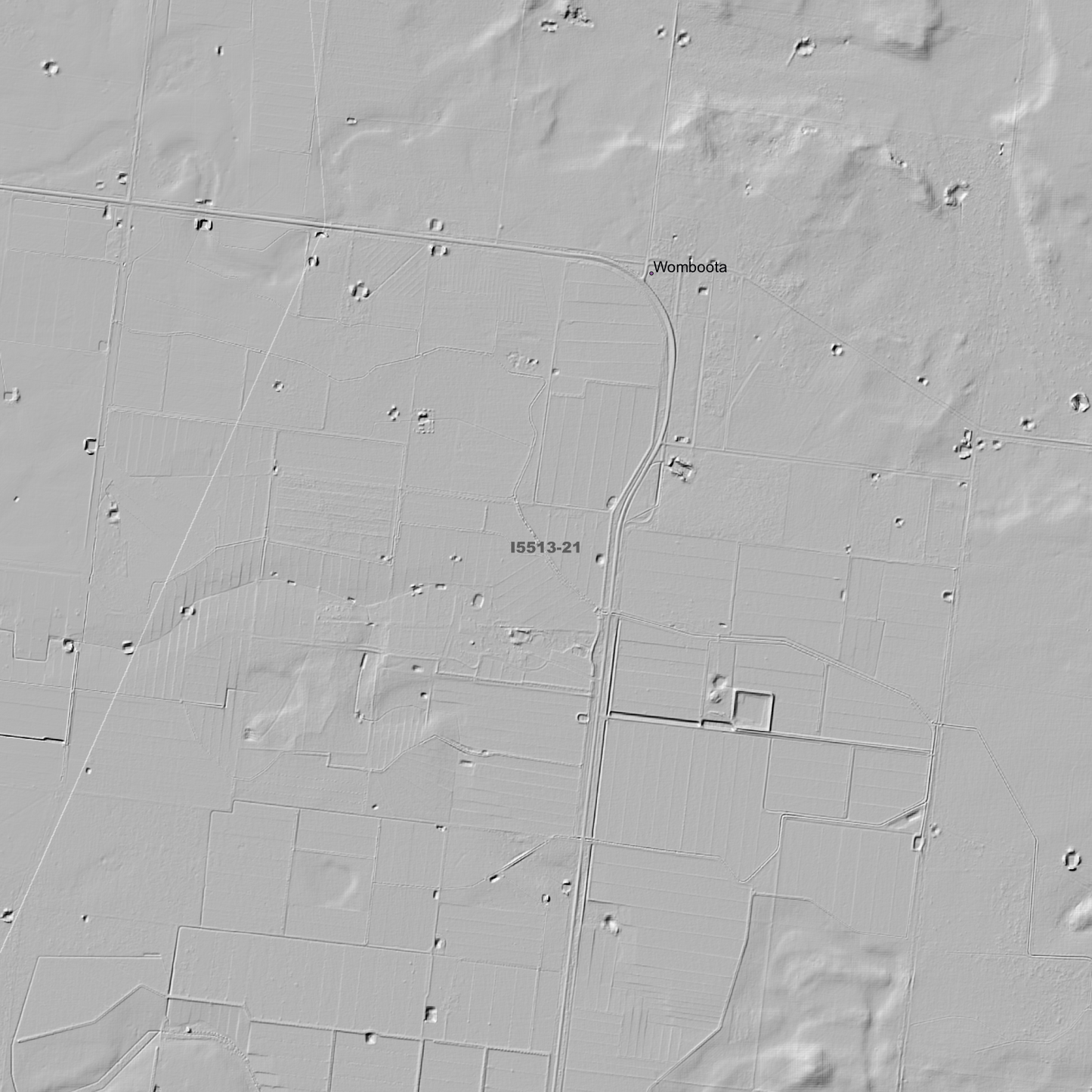 Womboota 1m & 2m Digital Elevation Models (I5513-21)