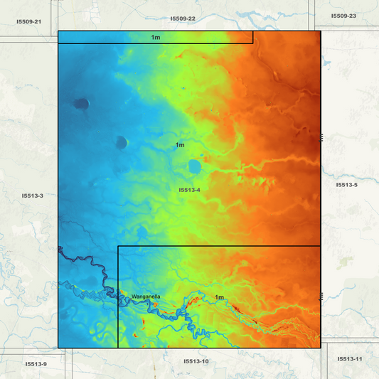 Wanganella 1m Digital Elevation Models (I5513-4)