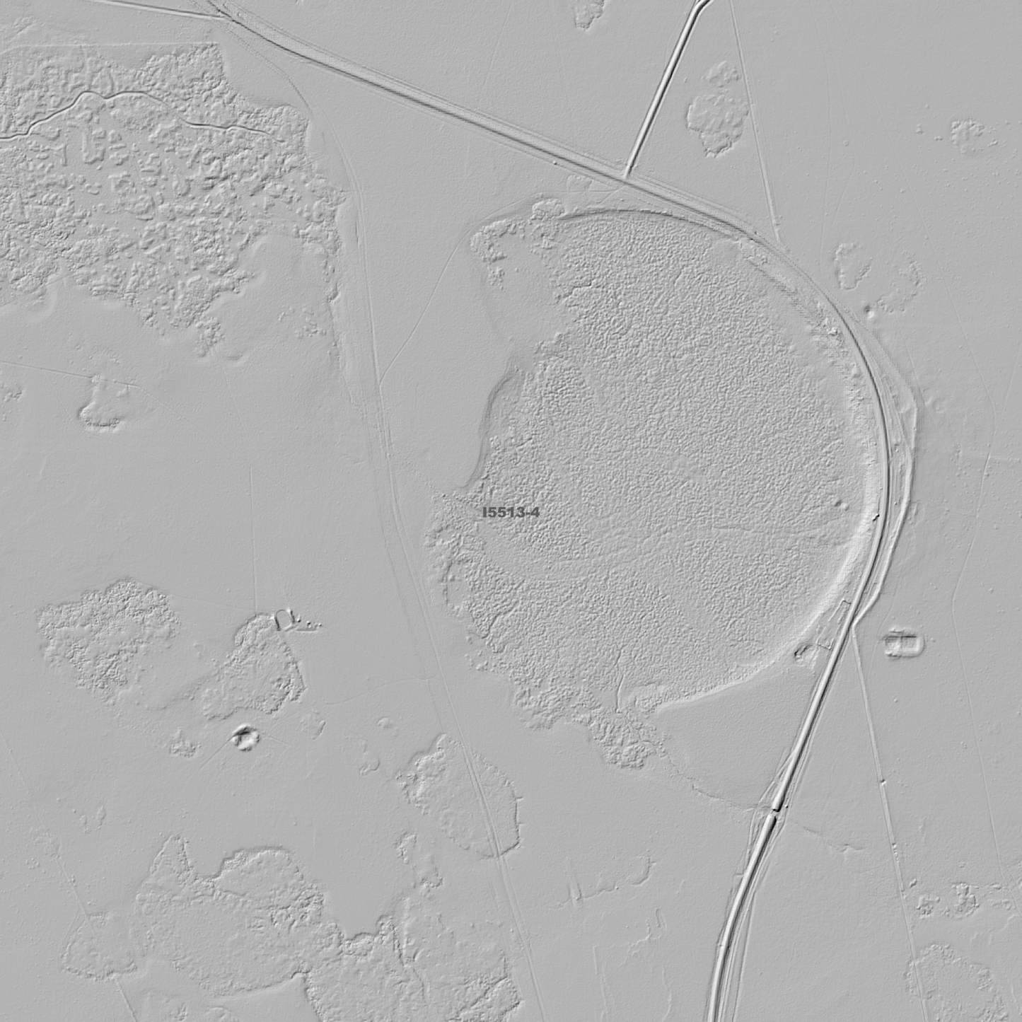 Wanganella 1m Digital Elevation Models (I5513-4)