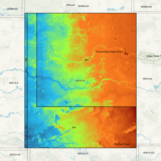 Puckawidgee 1m & 5m Digital Elevation Models (I5513-5)