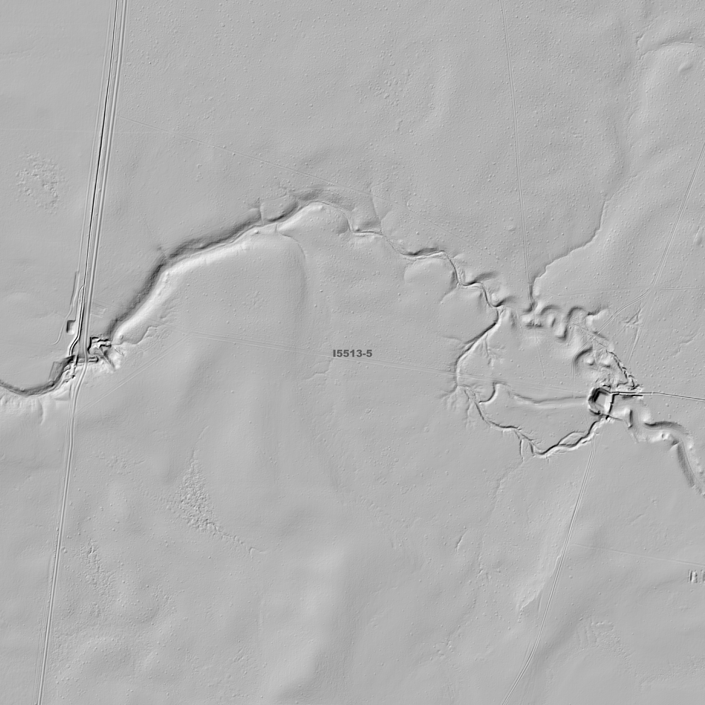 Puckawidgee 1m & 5m Digital Elevation Models (I5513-5)