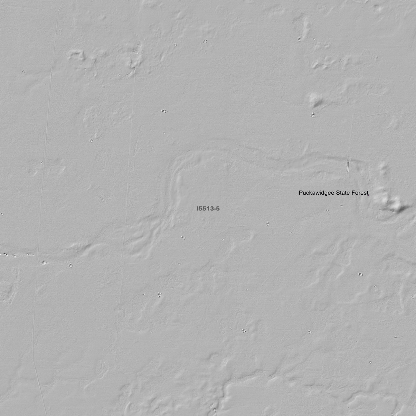 Puckawidgee 1m & 5m Digital Elevation Models (I5513-5)