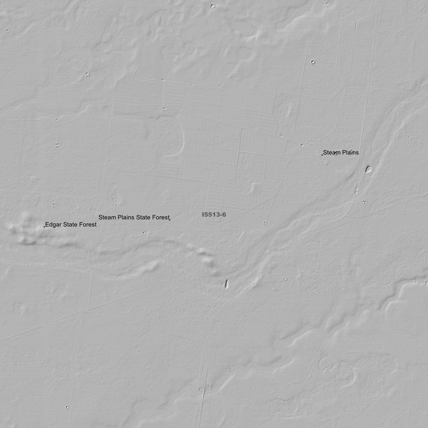 Steam Plains 1m & 5m Digital Elevation Models (I5513-6)