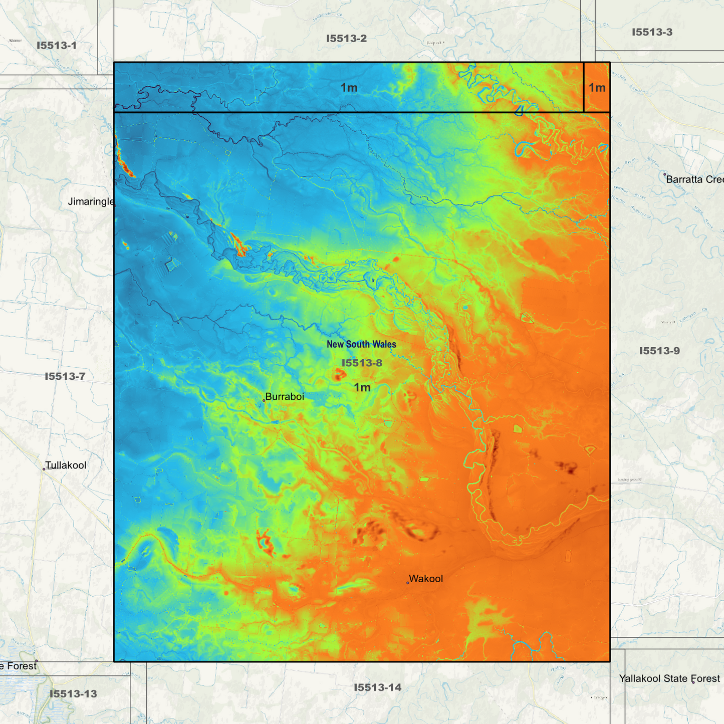 Wakool 1m Digital Elevation Models (I5513-8)
