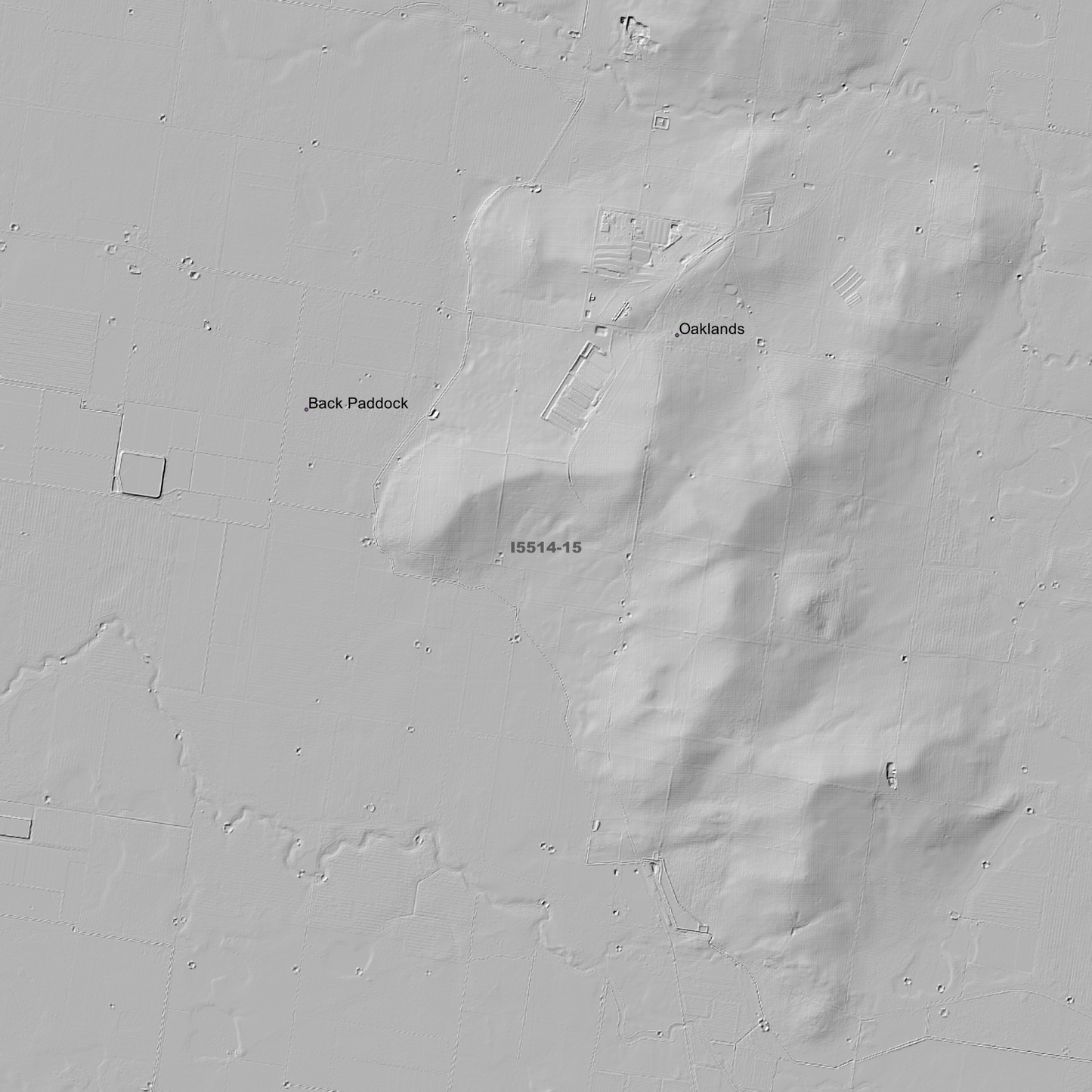 Sanger 1m & 5m Digital Elevation Models (I5514-15)
