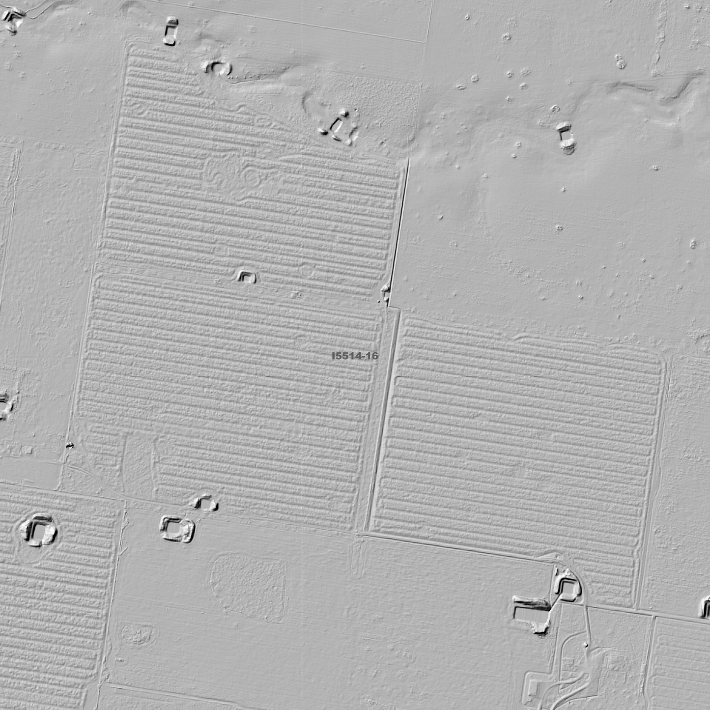 Daysdale 1m & 5m Digital Elevation Models (I5514-16)