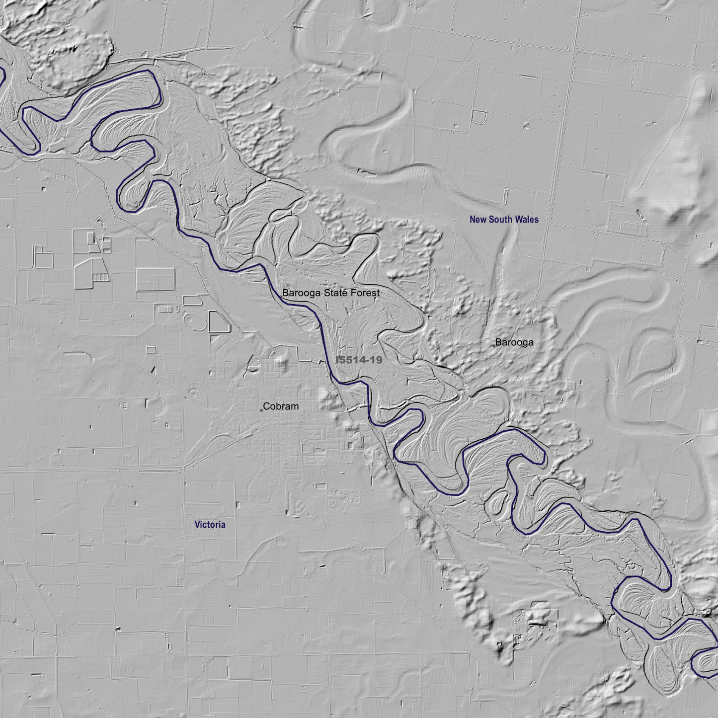 Tocumwal 1m & 5m Digital Elevation Models (I5514-19)