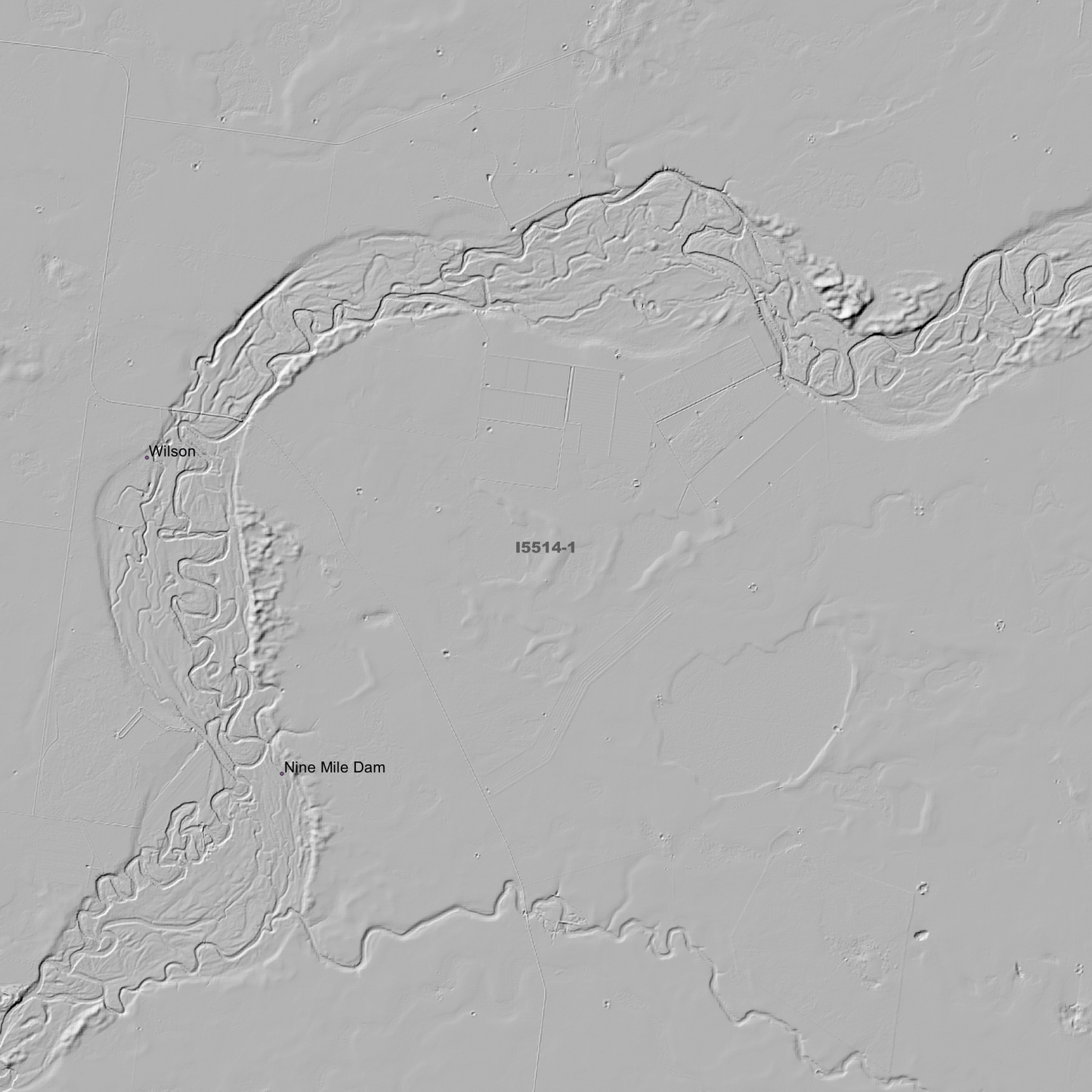 Wilson 1m & 5m Digital Elevation Models (I5514-1)