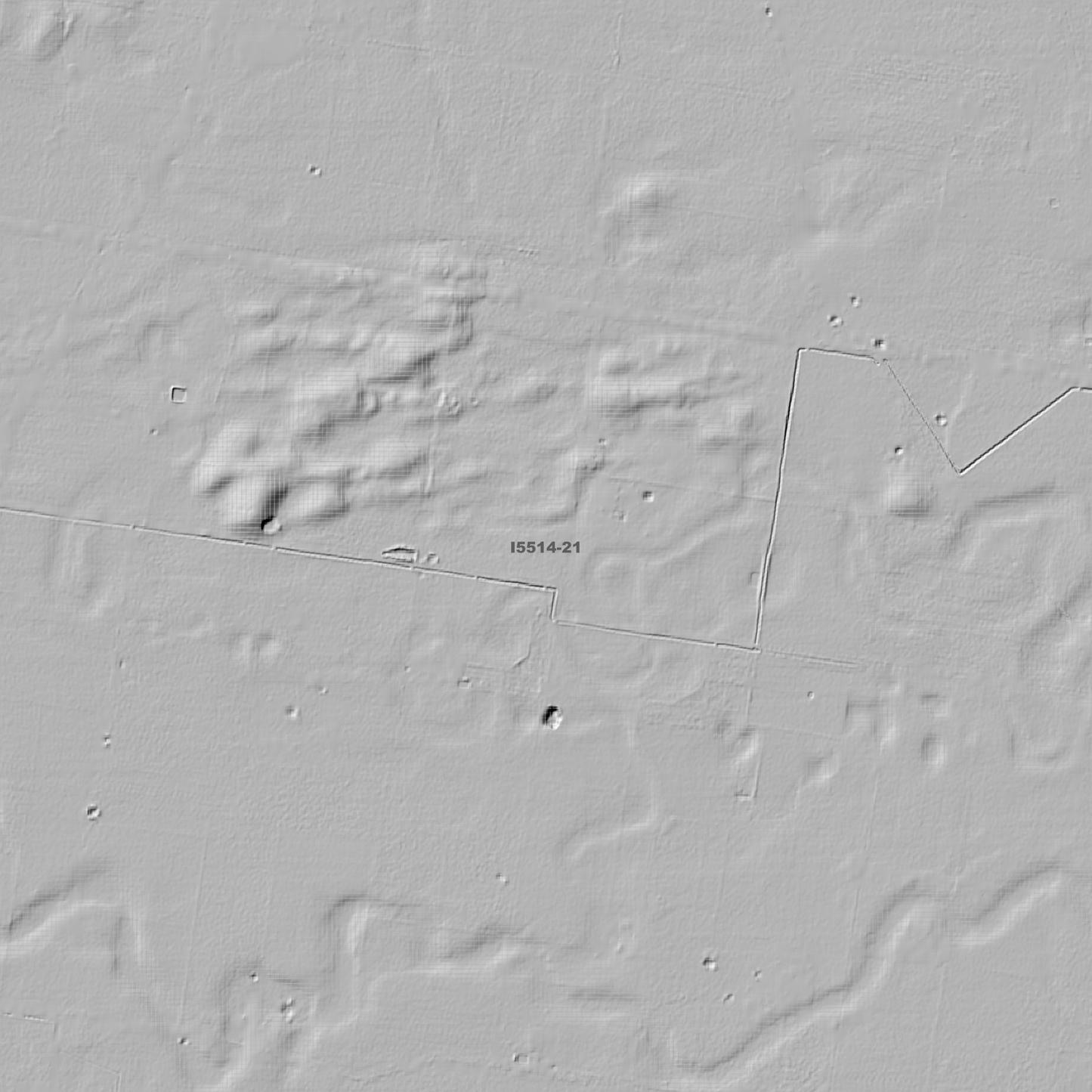 Mulwala 1m & 5m Digital Elevation Models (I5514-21)