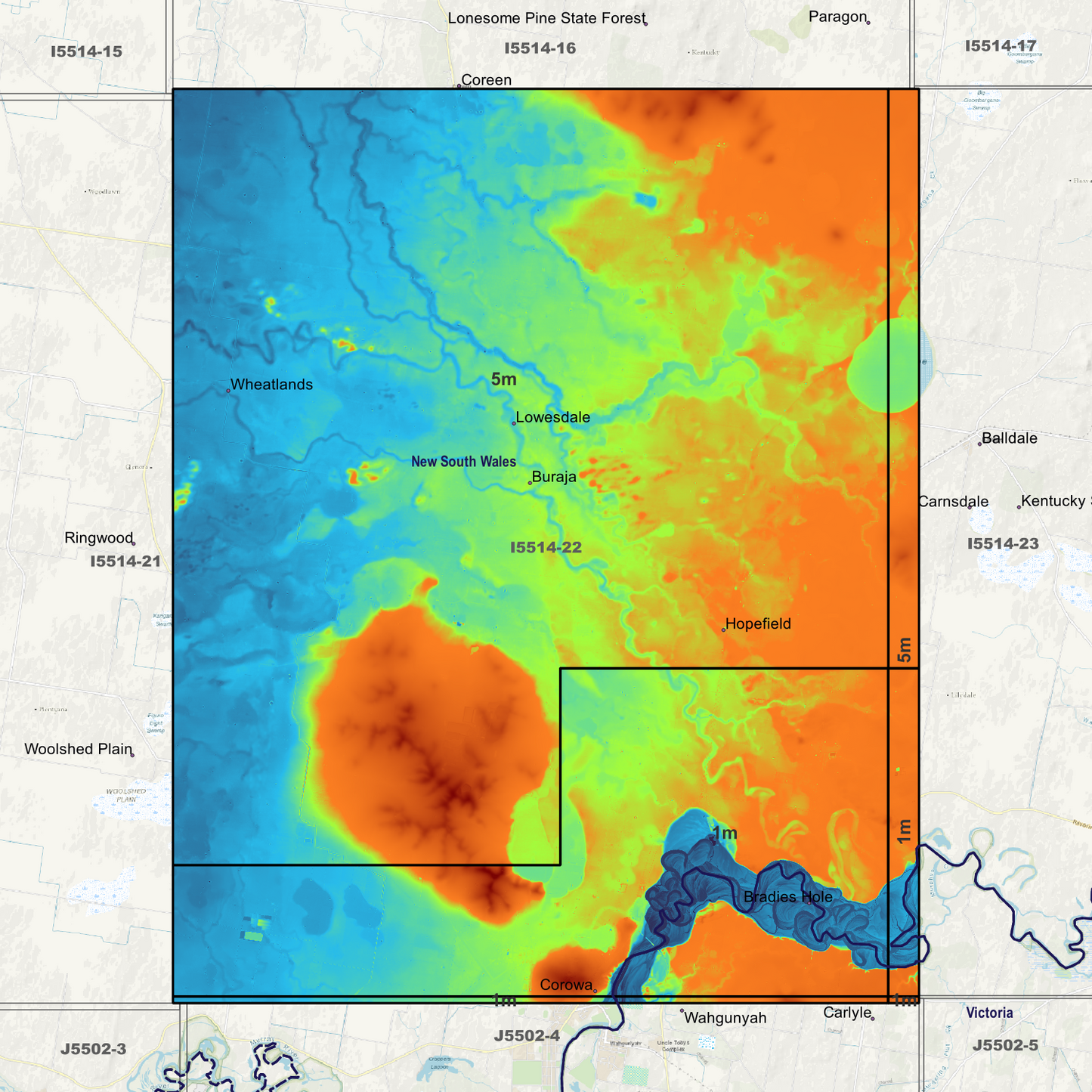 Lowesdale 1m & 5m Digital Elevation Models (I5514-22)