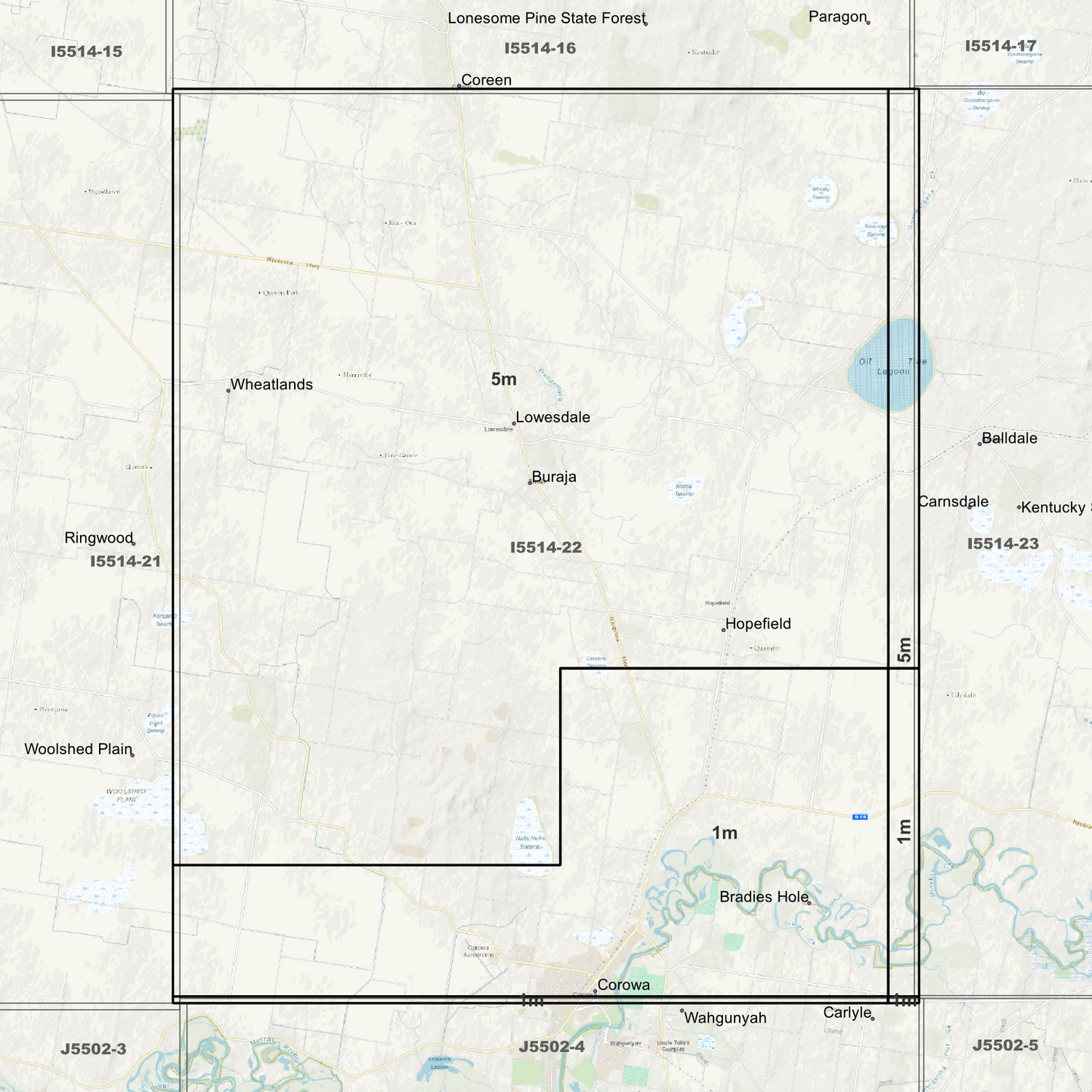 Lowesdale 1m & 5m Digital Elevation Models (I5514-22)