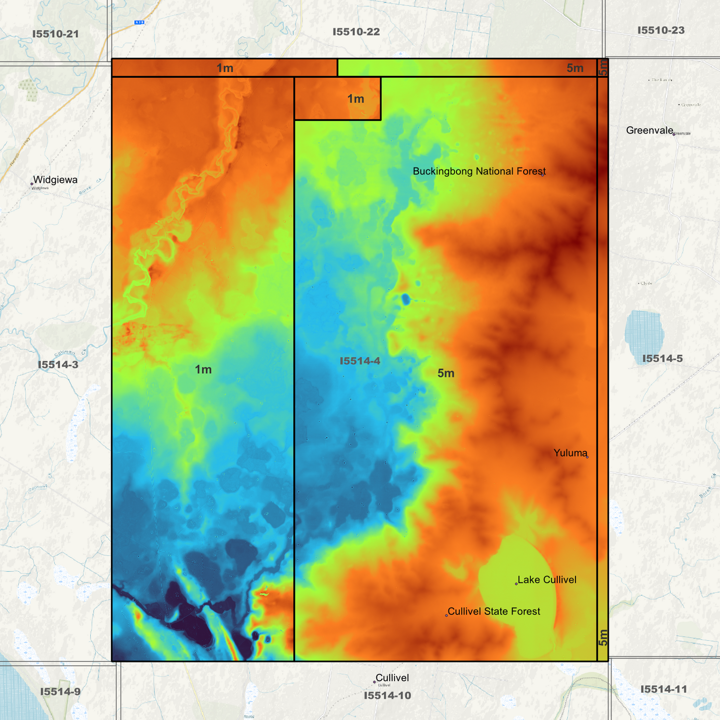 Buckingbong 1m & 5m Digital Elevation Models (I5514-4)
