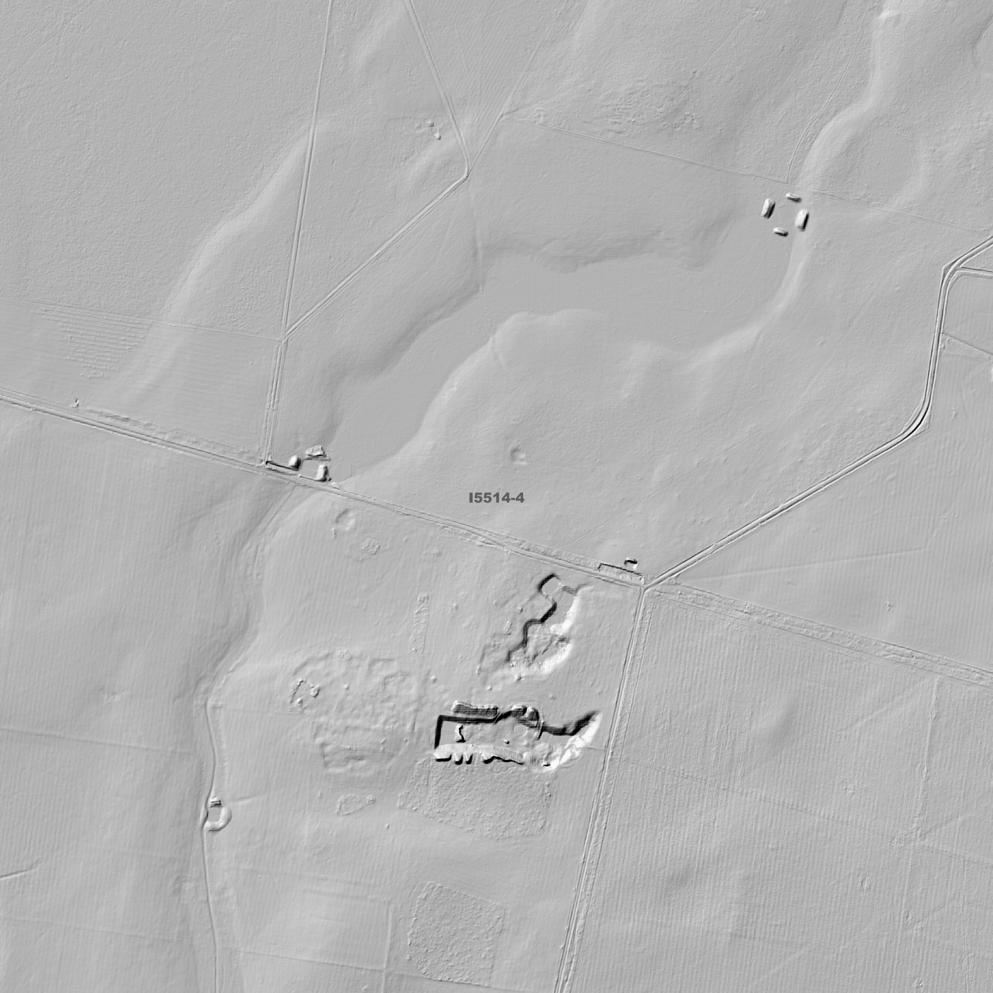 Buckingbong 1m & 5m Digital Elevation Models (I5514-4)
