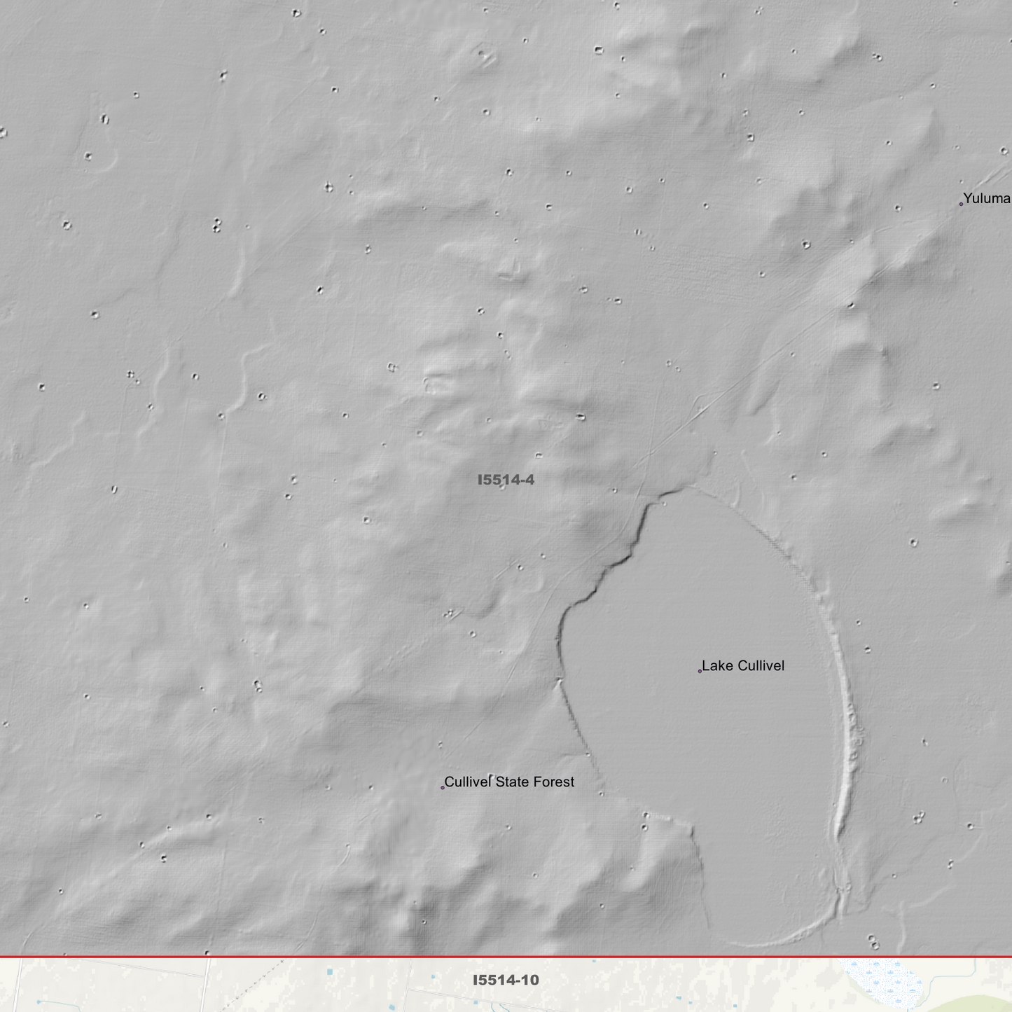 Buckingbong 1m & 5m Digital Elevation Models (I5514-4)