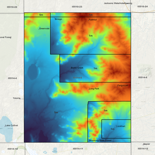 Lockhart 1m & 5m Digital Elevation Models (I5514-5)