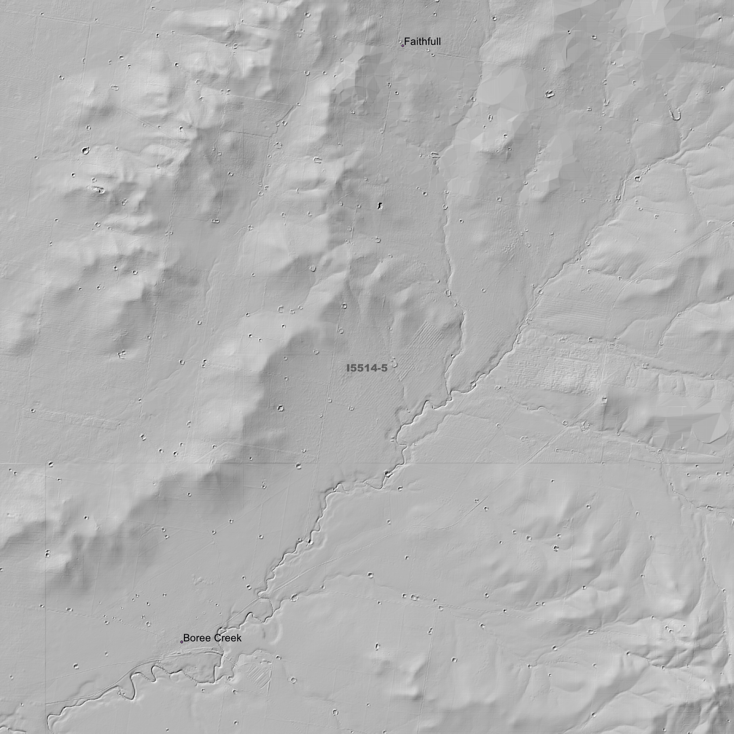 Lockhart 1m & 5m Digital Elevation Models (I5514-5)