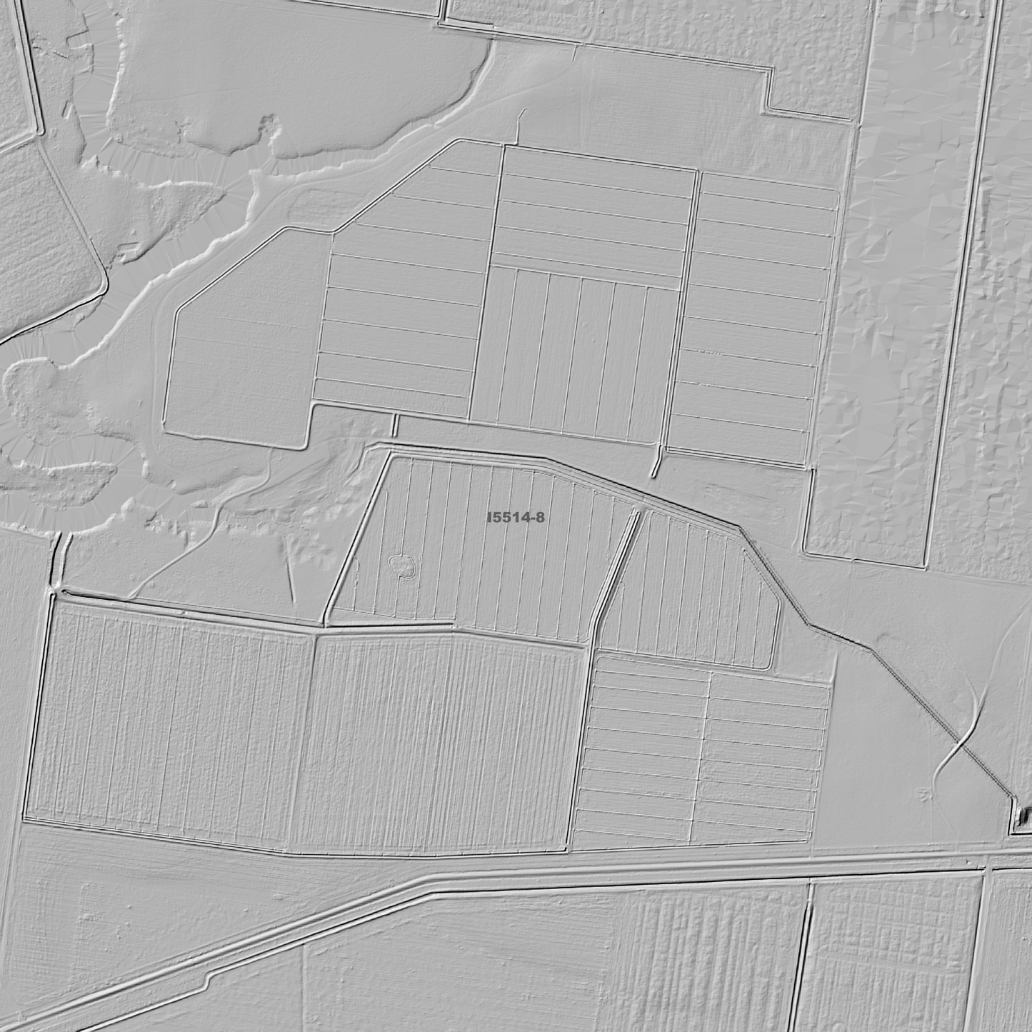 Carnerey 1m Digital Elevation Models (I5514-8)