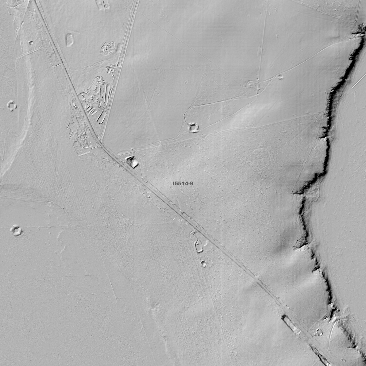 Lake Urana 1m Digital Elevation Models (I5514-9)