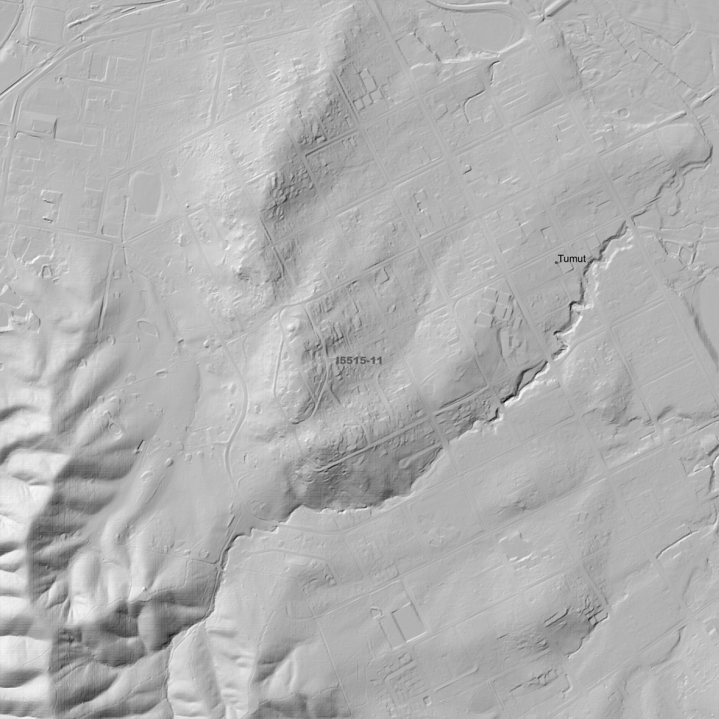 Tumut 1m & 2m Digital Elevation Models (I5515-11)