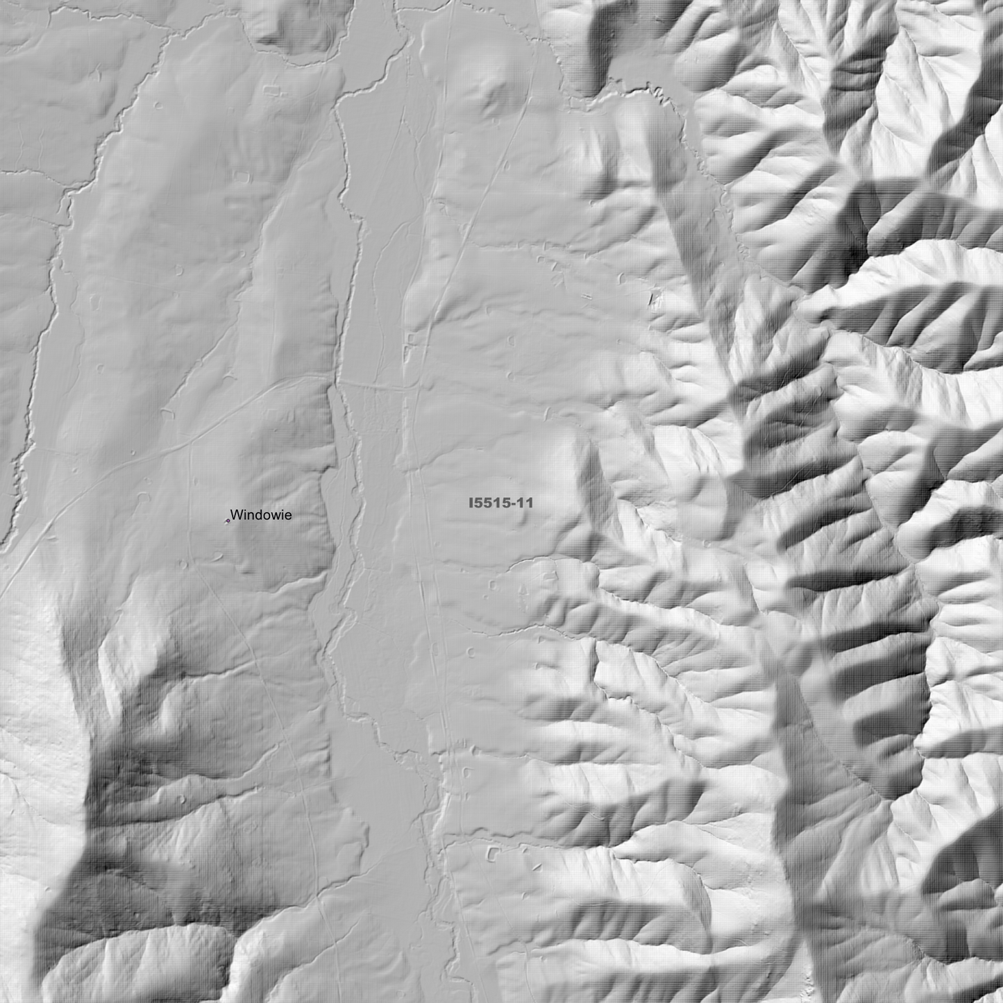 Tumut 1m & 2m Digital Elevation Models (I5515-11)