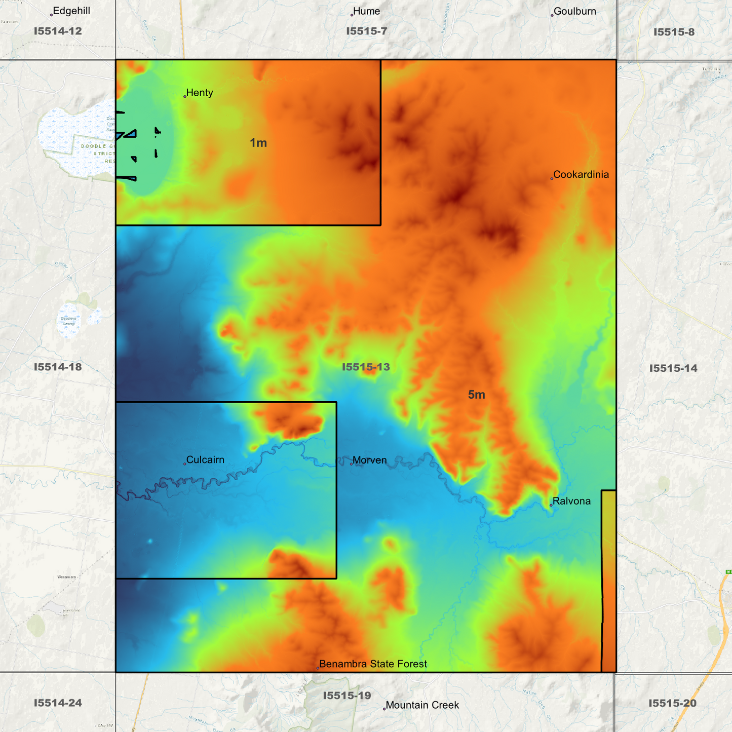 Henty 1m & 5m Digital Elevation Models (I5515-13)