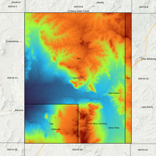 Holbrook 1m, 2m & 5m Digital Elevation Models (I5515-14)