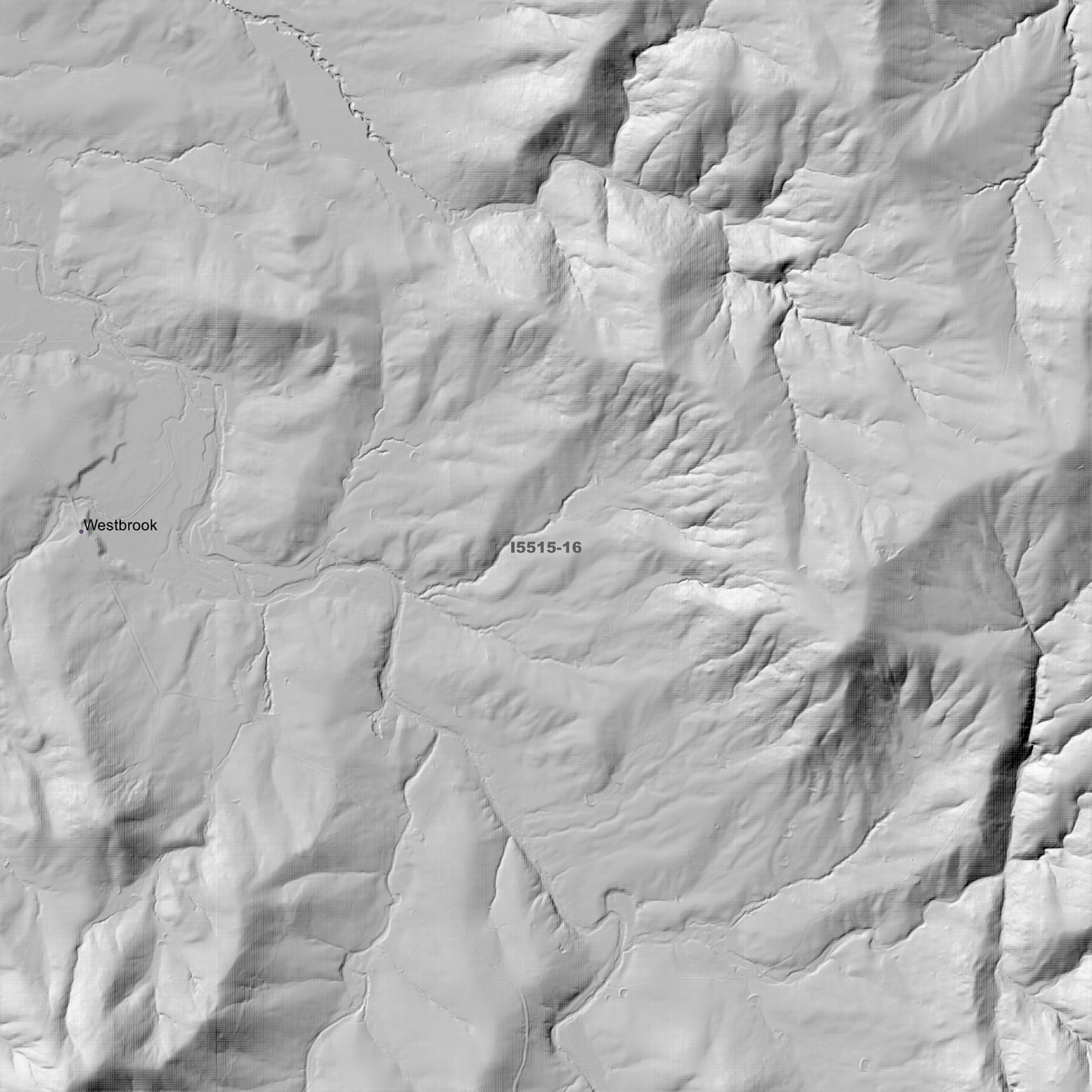 Mundaroo 2m Digital Elevation Models (I5515-16)