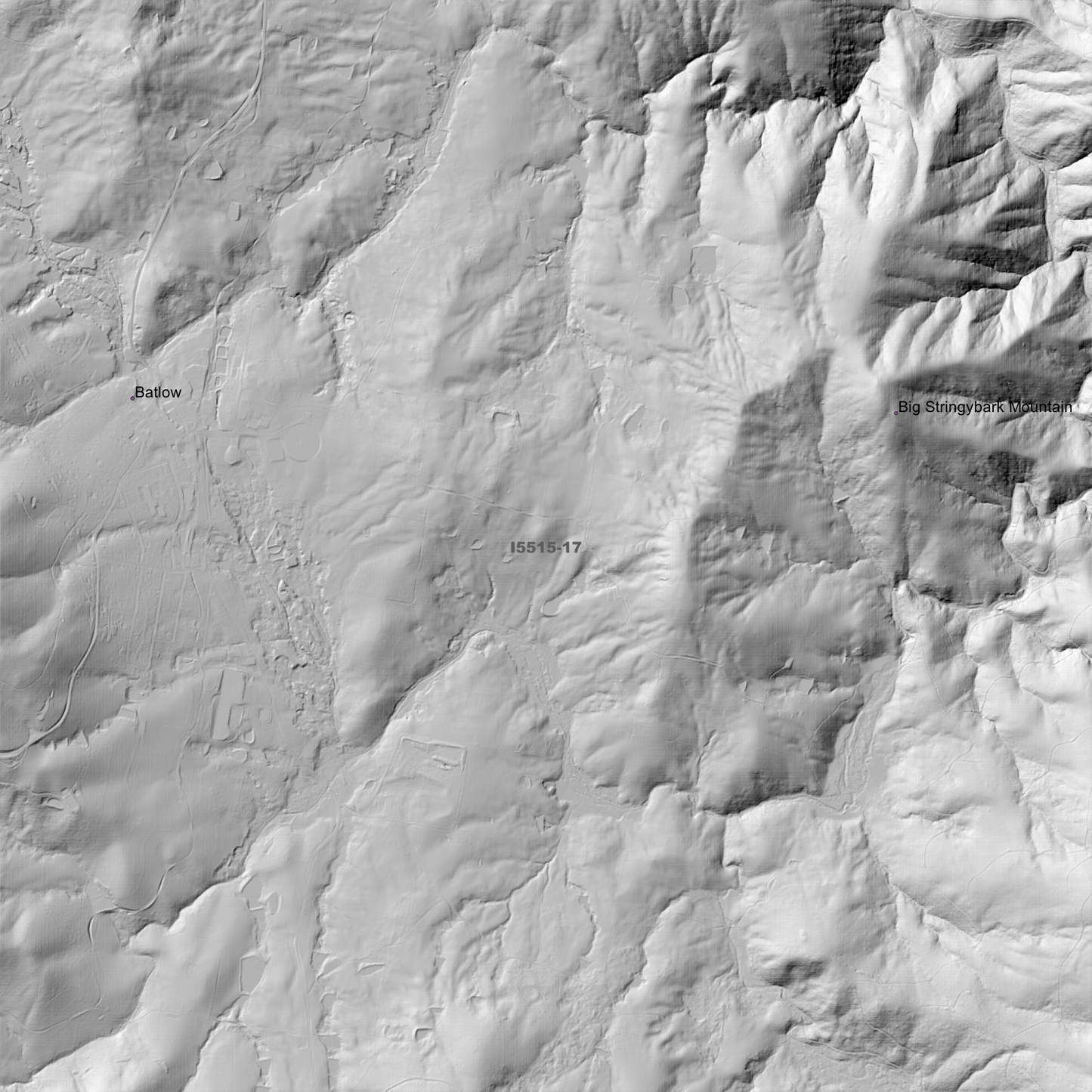 Batlow 1m & 2m Digital Elevation Models (I5515-17)