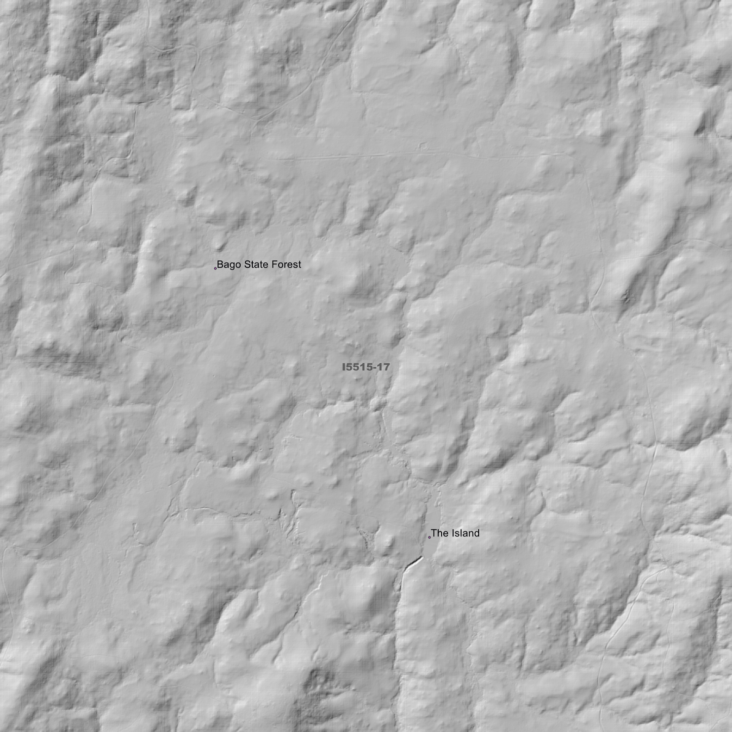 Batlow 1m & 2m Digital Elevation Models (I5515-17)