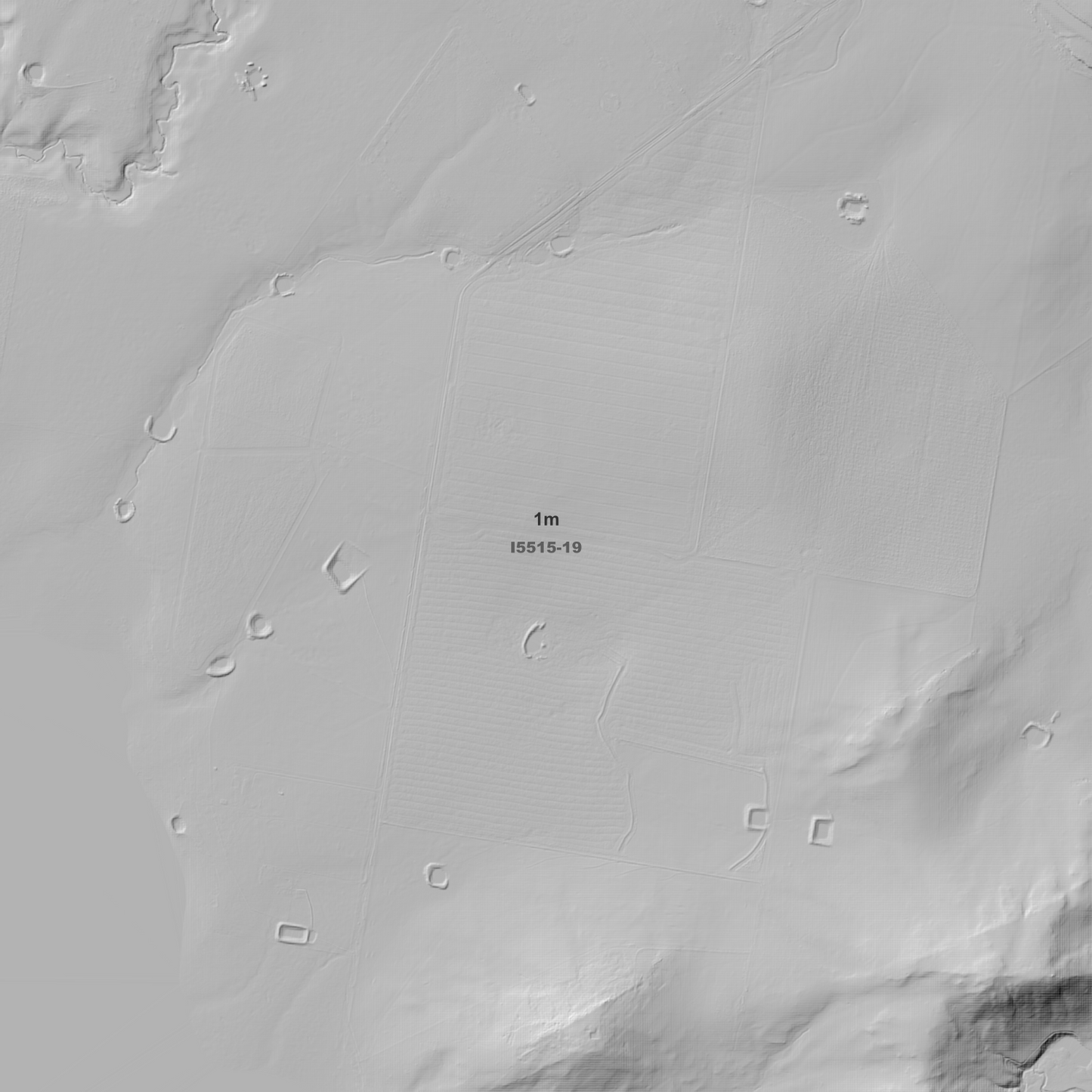 Table Top 1m, 2m & 5m Digital Elevation Models (I5515-19)