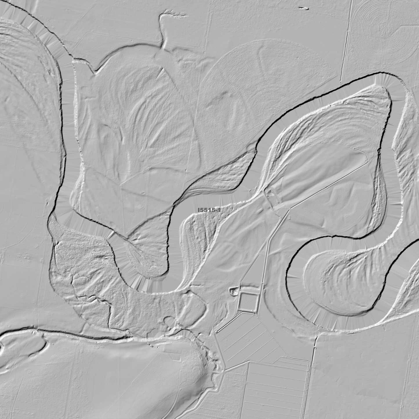 Collingullie 1m & 5m Digital Elevation Models (I5515-1)